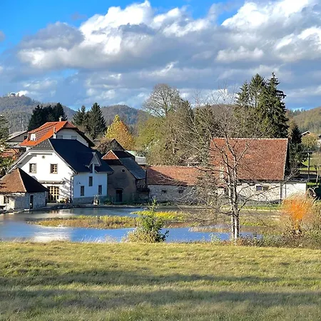 Four-bedroom Bajer Villa *