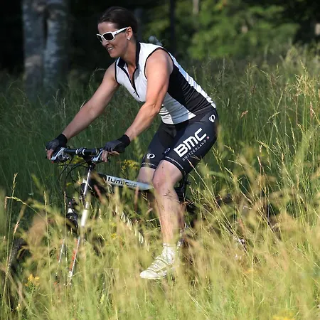 Villa Four-bedroom Bajer Stari Trg pri Lozu