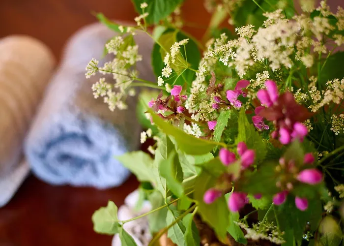 Four-bedroom Bajer Villa *